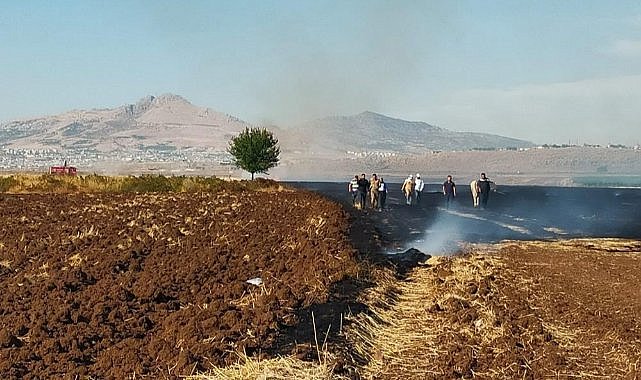 Diyarbakır'da korkutan anız yangını