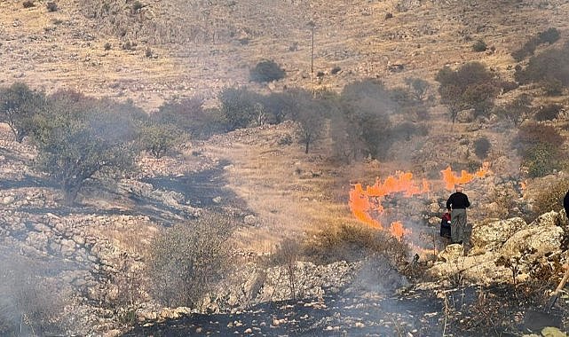 Mardin’de çıkan ot yangını söndürüldü